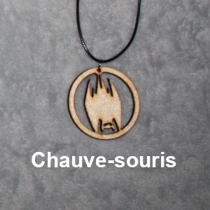 Chauve-souris