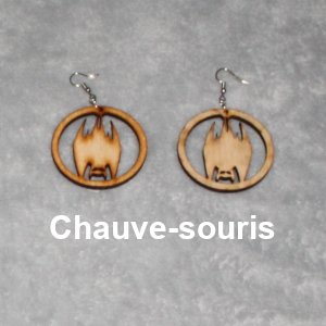 Chauve-souris