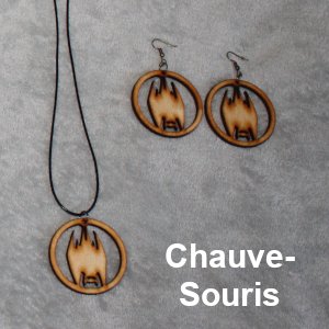 chauve-souris